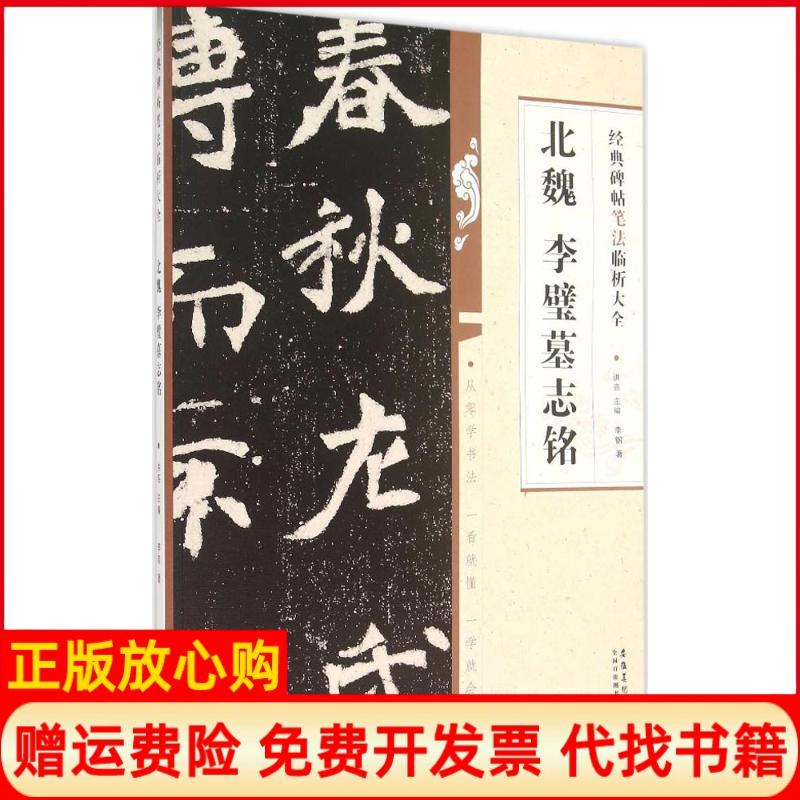 【正版书】经典碑帖笔法临析大全北魏李璧墓铭钢著亮 安徽美术出版社9787539861821