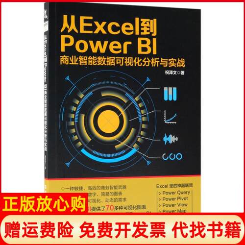 正版书】从Excel到PowerBI商业智能数据可视化分析与实战祝泽文中国铁道出版社9787113244538
