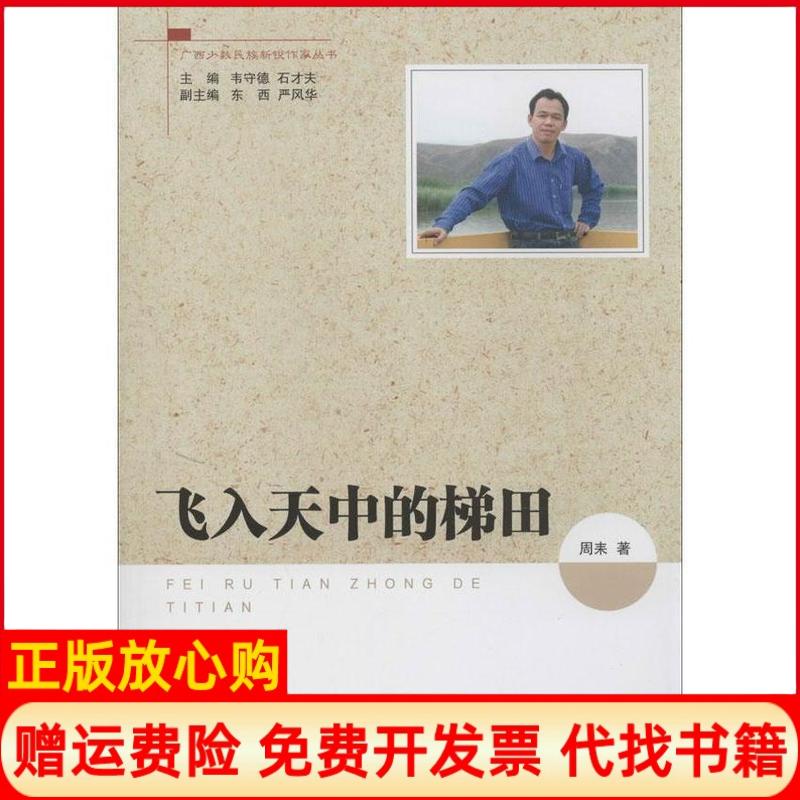 正版书】飞入天中的梯田周耒　著广西人民出版社9787219086254