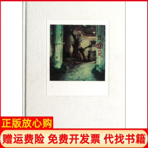 【正版书】世上的光塔可夫斯基拍立得摄影集俄罗斯塔可夫斯基虹风译者重庆大学出版社9787562464198