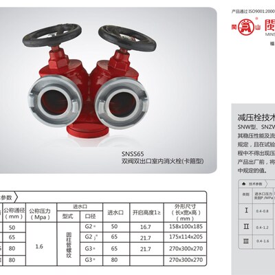 SNSS65/65双阀双出口室内消火栓