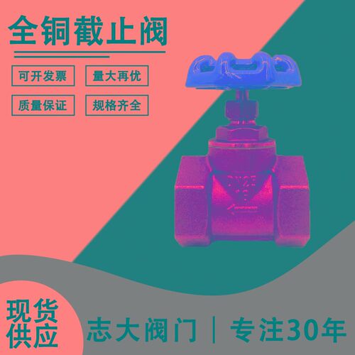 全铜截止阀dn15水管4分6分1寸耐高温20空调25蒸气铜水表开关加厚