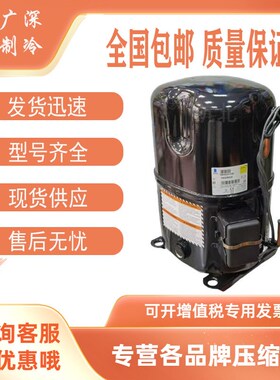 TAG4534Y TAG4540Y TAG4528Y全新原装泰康中低温活塞压缩机 R134A