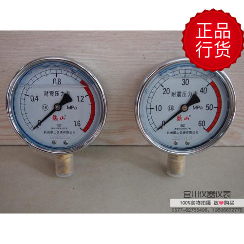 杭州鹳山 YN100 YN-100 YN100ZT 耐震压力表 规格齐全 部分现货