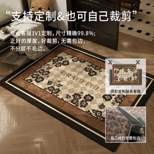 轻奢复古防滑门口地垫入户门垫家用客厅玄关地毯进门耐脏蹭土脚垫