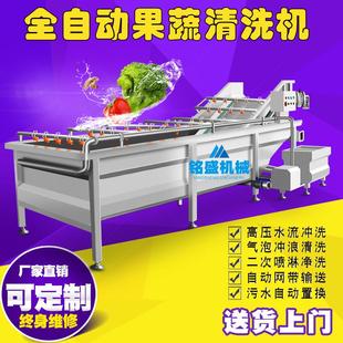 商用新疆梨清洗机 喷淋式岭南梨洗菜机 大型嘎啦苹果气泡清泡设备