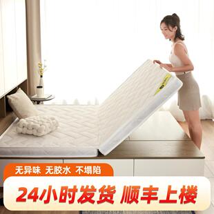 天然椰棕床垫宿舍学生单人不塌陷棕榈床垫硬垫护脊椎环保可定制