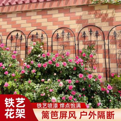 爬藤架花架铁线莲蔷薇架子屏风三角梅铁艺网格藤架栅栏网攀爬支架