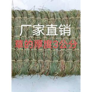 长白山乌拉草坐垫,45*45白领司乘,久坐不粘裤子夏天不闷冬天不凉