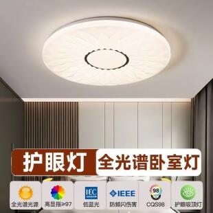 卧室灯新款房间主灯LED吸顶灯护眼现代简约网红爆款高级感灯具