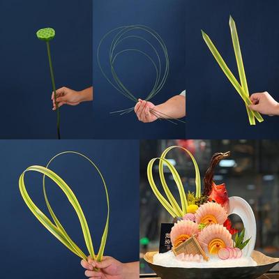 摆盘装饰花草彷真剑叶海鲜姿造意境盘式点缀酒店餐饮菜品围边摆件