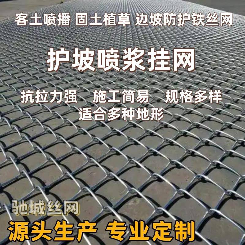 喷浆铁丝网客土喷播植草镀锌菱形钢网绿化喷锚挂网山体护坡固土网