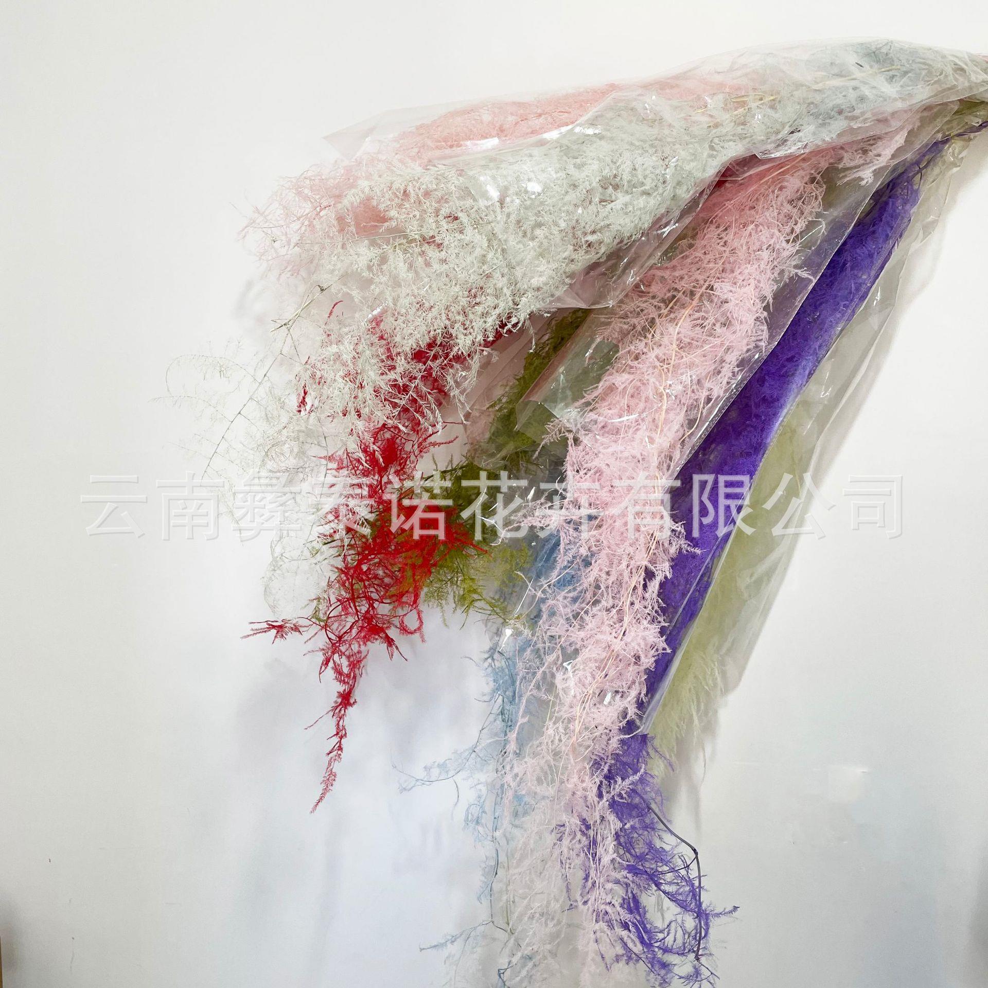 天然永生文竹干花婚礼婚庆软装家居墙面装饰保鲜花绿植永生花