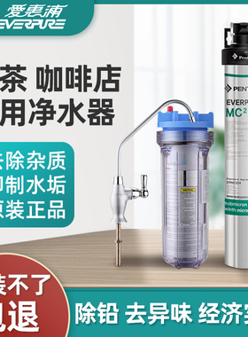 滨特尔爱惠浦净水器MC2商用咖啡奶茶店直饮机超滤4FC-S EF-900P