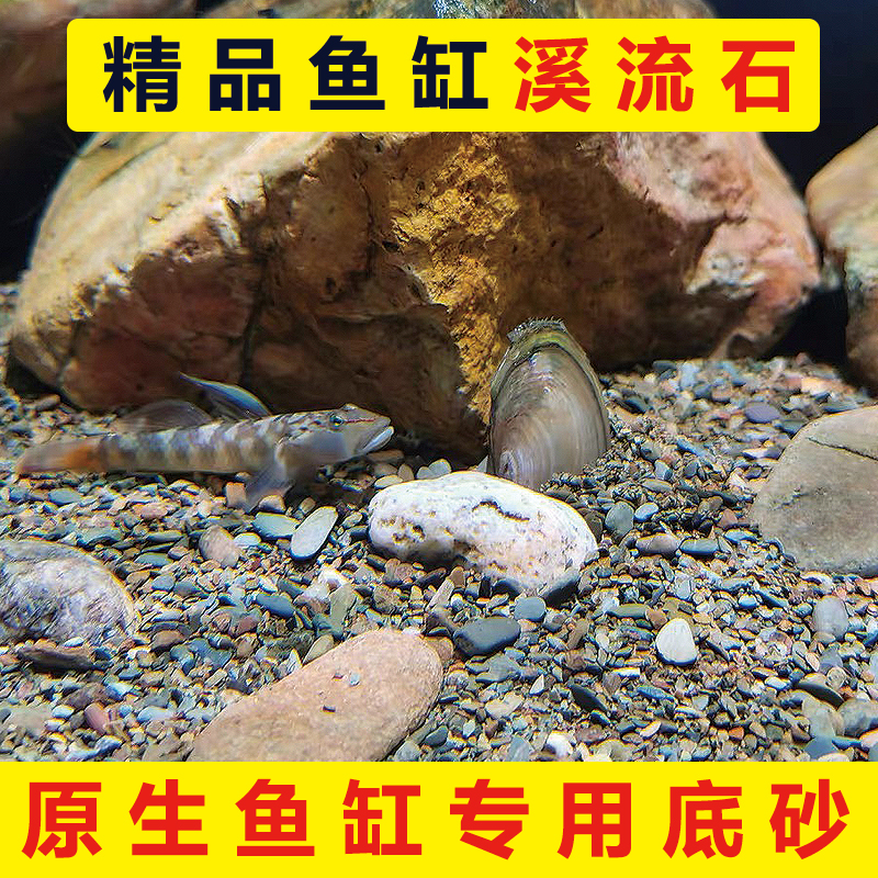 溪流沙底砂鱼缸造景溪流石原生缸细天然河沙乌龟缸雷龙沙子不浑水