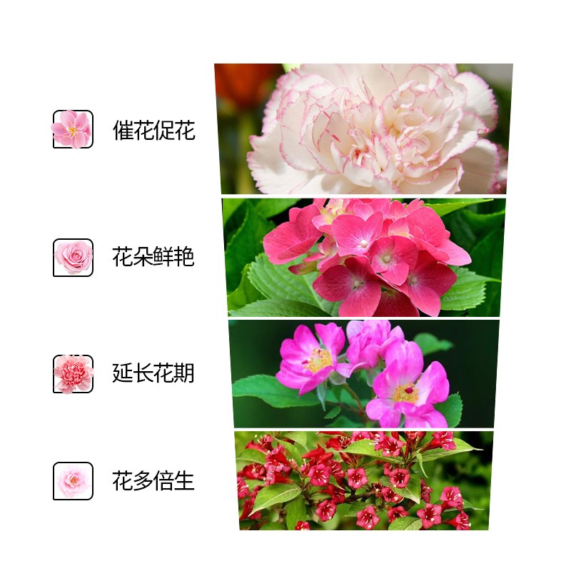 芽动力爆花粉肥料快速促开花园艺肥料养花花卉肥促根绿植花园庭院