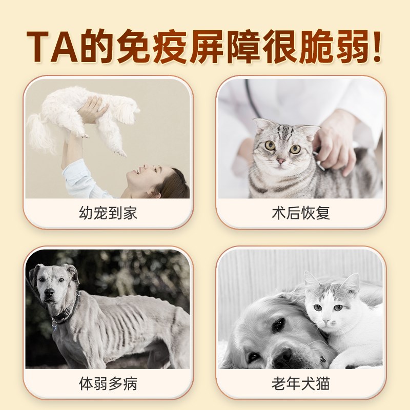 宠医到乳铁蛋白猫螺旋藻宠物营养孕幼猫用猫鼻支抗病毒增强免疫力