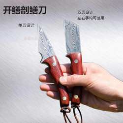 杀黄鳝专用刀鳝杀鳗鱼专用刀刀用黄鳝剔骨刀划黄商丝剖黄鳝刀S000