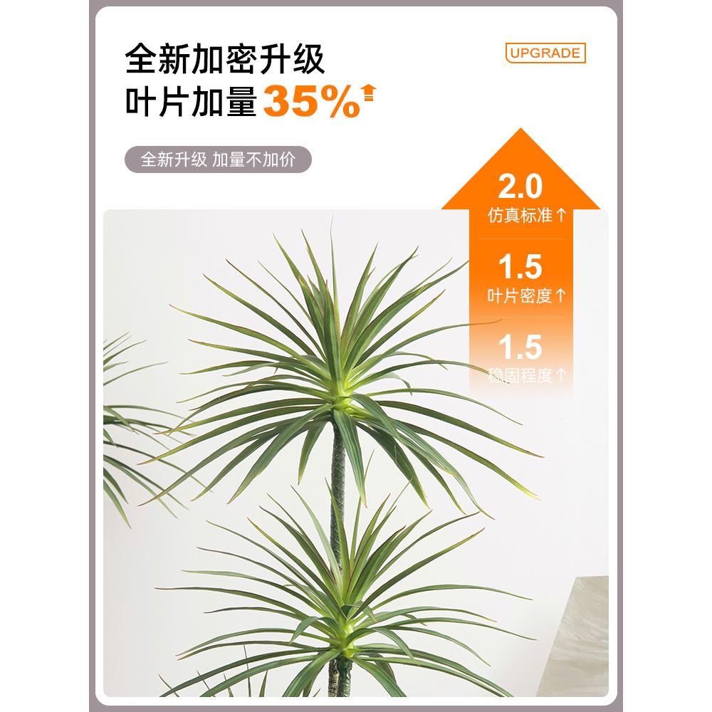 客厅电柜植大旁轻奢视绿室内型落地摆件xf-lxs-0盆栽装饰高档家居