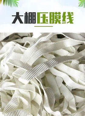 大棚压膜带白色聚酯纤维大s棚压膜带压膜绳压膜线压棚绳大棚拉绳