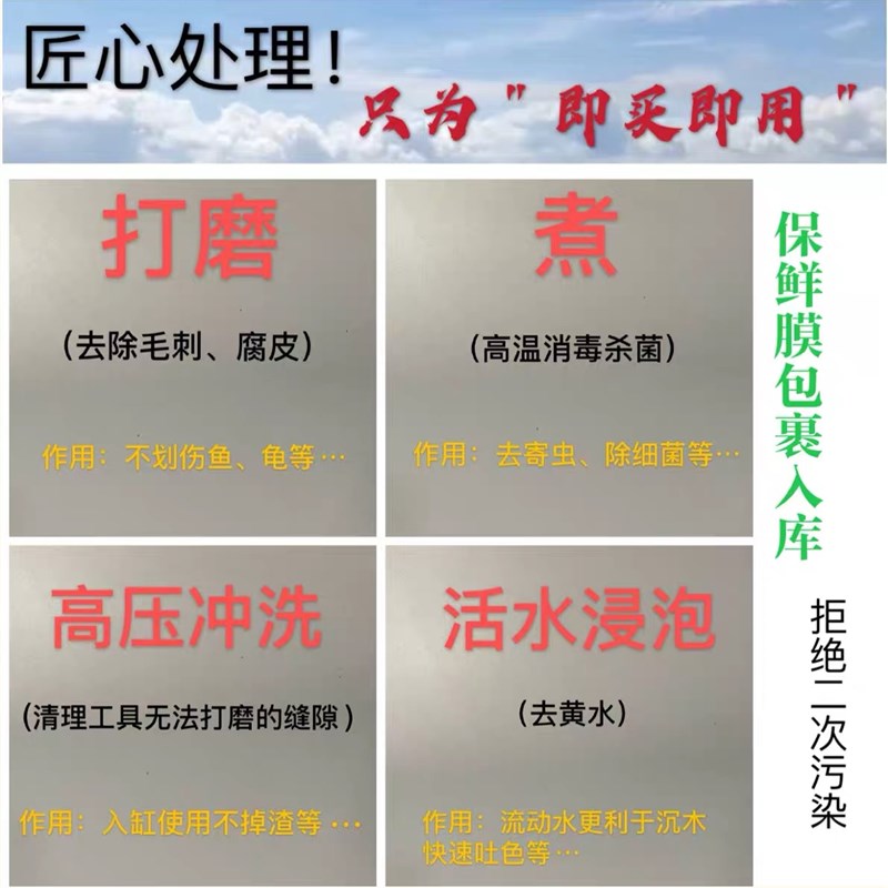 虾木蜂窝木观赏虾躲避繁殖沉木造景天然鱼缸免煮木头水草定植