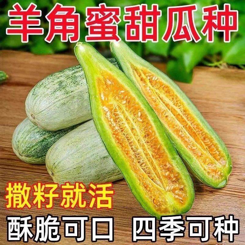 甜脆羊角蜜甜瓜种子原装香瓜四季高产羊角酥种子阳台盆栽水果种子