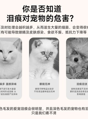 eye envy天使眼猫用泪痕水宠物泪痕清洁擦眼睛加菲泪痕湿巾