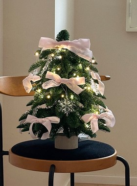 圣诞节装饰品ins拍照道具成品整颗桌面装饰摆件氛围感高级小众