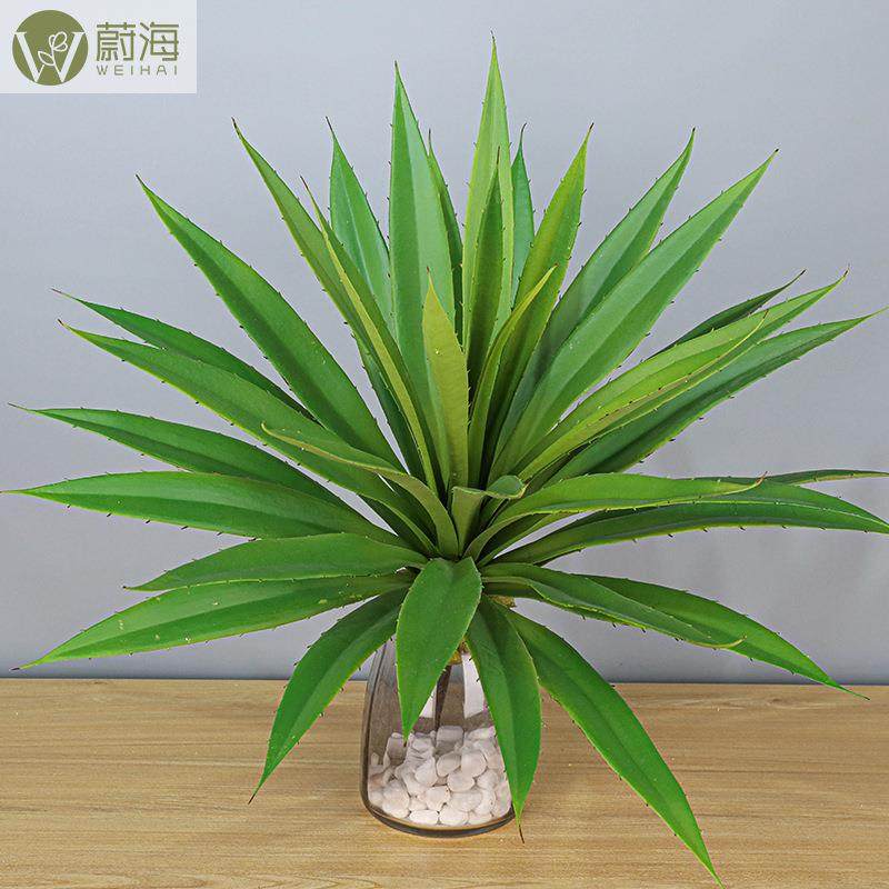 广东仿真大剑兰剑麻盆栽假绿植龙舌兰人造热带植物黄冠兰,农用物资,其他肥料,淘宝优惠券,粉丝福利购,淘宝优惠卷