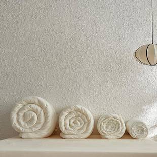 A类全棉雾感纱蚕丝蛋白被芯20%蚕丝蛋白纤维春秋被夏被冬被四季 被