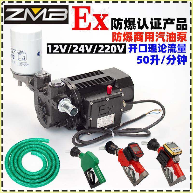 防爆抽油泵12V24V220V防爆电动汽油泵柴油大流量车载自吸加油泵,农用物资,其他肥料,淘宝优惠券,粉丝福利购,淘宝优惠卷