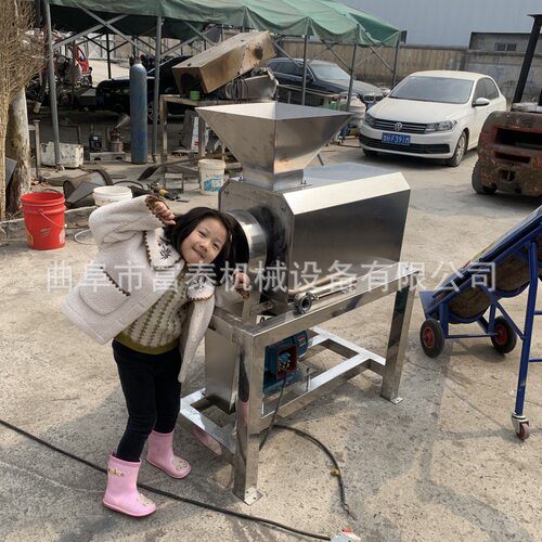 商用石榴去皮机不锈钢荔枝去核打浆机葡萄去皮去核打浆机厂家
