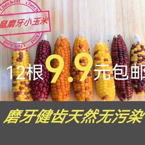 仓鼠磨牙玉米棒零食营养饲料金丝熊花枝鼠龙猫等迷你小玉米专用