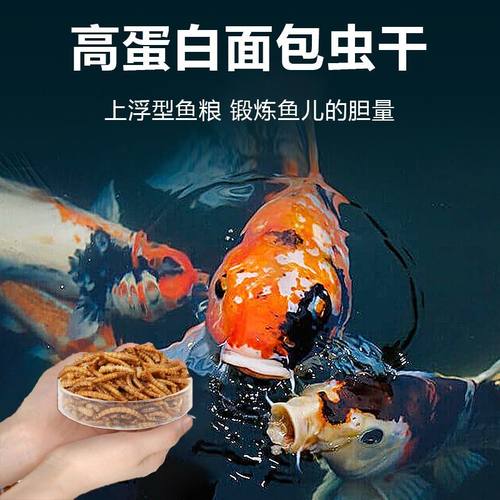 面包虫干蝴蝶鱼观赏鱼锦鲤鱼金鱼饲料鱼食高蛋白通用上浮型龙鱼食