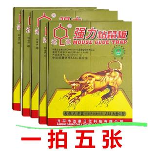 山甲牌贴老鼠粘鼠板超强力 灭鼠器老鼠夹家用捕鼠驱强力鼠胶 包邮