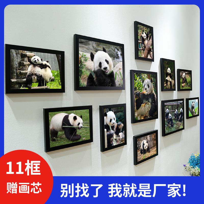 保护动物国宝大熊猫照片写真壁挂画大幅海报装饰画照片墙挂墙相框图片