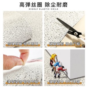 简约地垫入户门垫耐磨防滑家用进门口脚垫可裁剪防水防污玄关地毯
