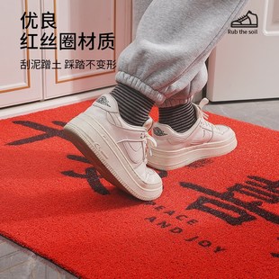 玄关门垫家用红色地毯 入户门地垫进门大门口防滑丝圈脚垫2024新款