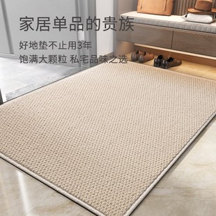 玄关防滑门垫家用垫子仿剑麻地毯 入户门地垫进门门口脚垫2024新款