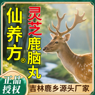 仙养方灵芝鹿脑丸梅花鹿甄选东北特产5g*10丸吉林双阳梅花鹿鹿脑