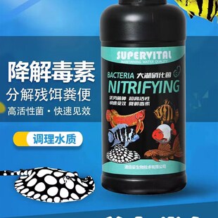 速倍妥硝化细菌二代富氧益生菌活性红龙维生素水稳鱼缸水质必定清