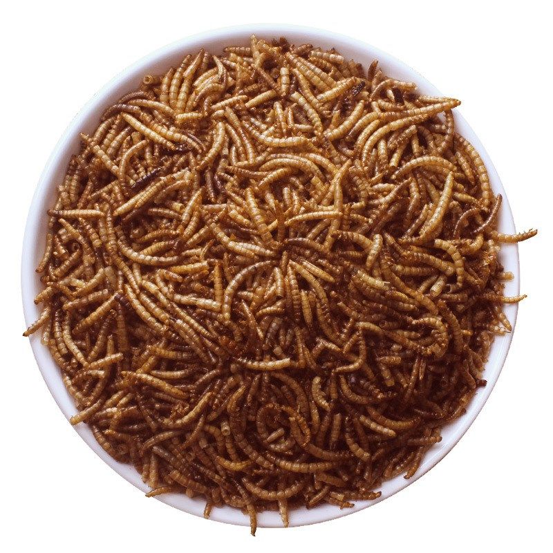 面包虫干鸟食鸟用八哥鹩哥画眉百灵芦丁鸡饲料鸟粮食营养零食虫子