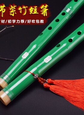 紫竹一节绿色古风短洞箫初学成人入门零基础潇F高档八孔G调乐器