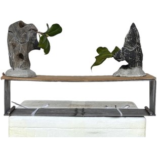 开槽附石盆景瘦高盘龙石树抱石条摆件造型造景观赏天然原石真石头