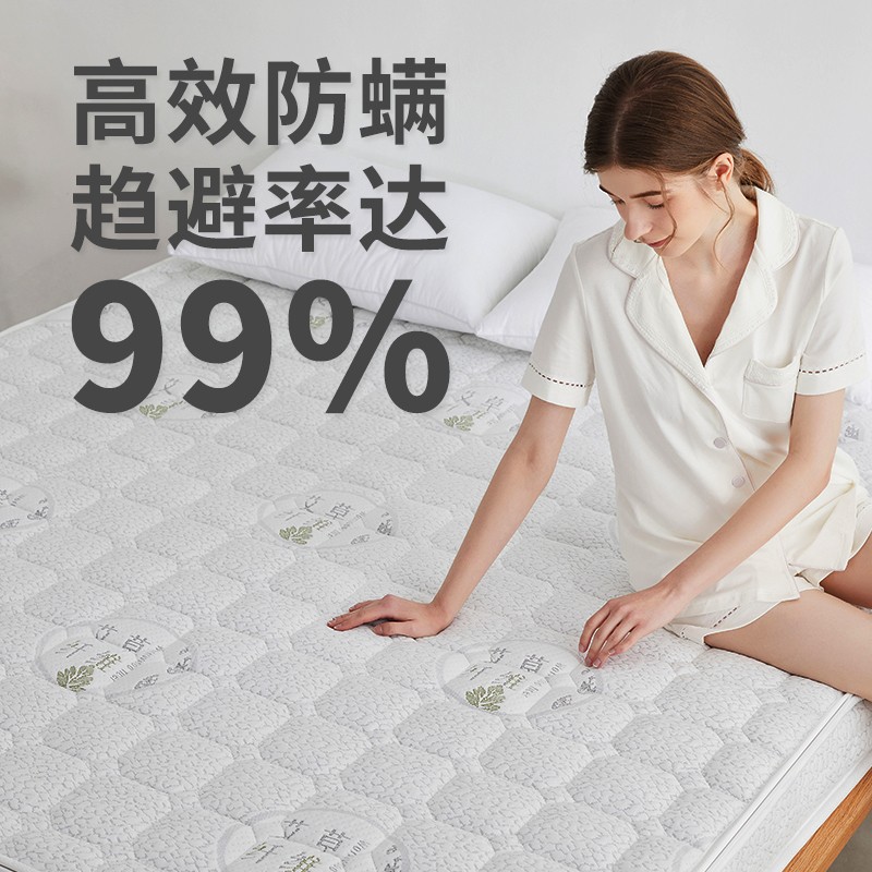 丘森 艾草天然椰棕床垫棕垫偏硬护脊环保棕榈1.5m1.8米尺寸定制