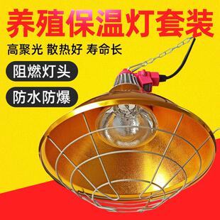 仔猪保温箱灯育雏鸡苗取暖灯泡灯罩可调温度加热小鸡猪养殖带线罩
