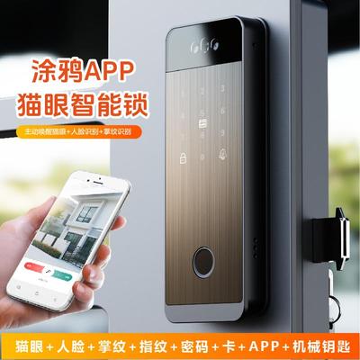 马来新加坡人脸识别掌纹手机tuya远程可视猫眼电子铁栏门智能锁