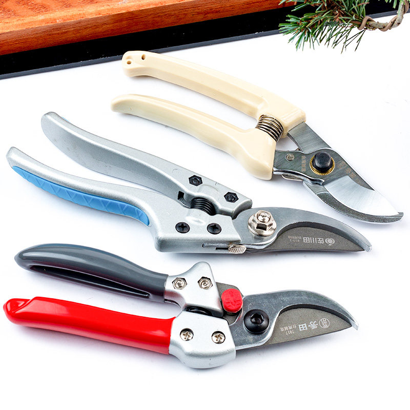 修枝剪盆景家用园林盆景剪子爱丽斯丝修剪粗树枝剪刀果树花剪园艺,鲜花速递/花卉仿真/绿植园艺,剪刀,淘宝优惠券,粉丝福利购,淘宝优惠卷