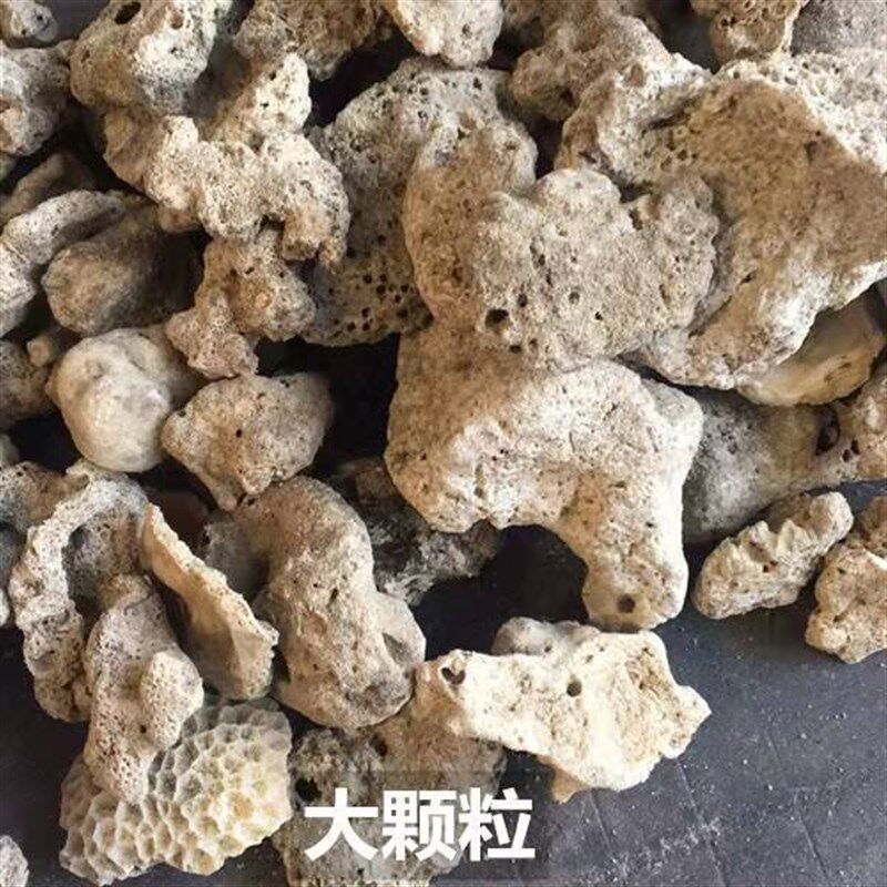 珊瑚骨滤材鱼缸过滤材料鱼池珊瑚石底砂水族箱造景沙稳定净化水质