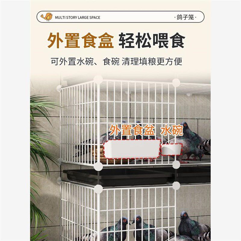鸽子笼家用特大号养鸽子笼巢箱新型养殖柯尔鸭配对笼鸽舍鸽笼
